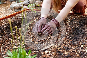 Close up of a woman working in the garden in the spring time