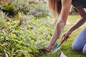 Close Up Of Woman Working Outdoors In Garden At Home Digging And Planting