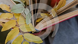 Close-up of a woman& x27;s hand leafing through the pages of a book. Autumn leaves are nested between the pages of the book