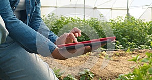 Close up of woman& x27;s hands using digital tablet on farm, greenhouse tunnels