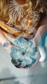 Close up of womans hands holding flower in pot