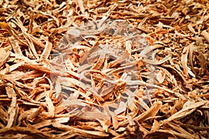 Close-up of wood chip texture