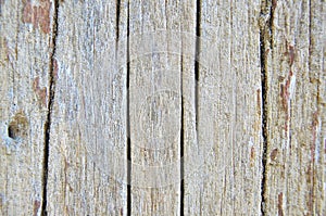 Close up of wood texture