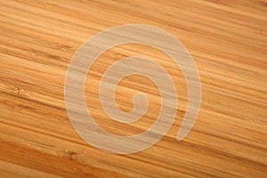 Close-up Wood Texture