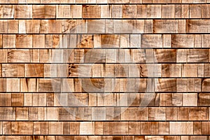 Close up of wood texture and background.