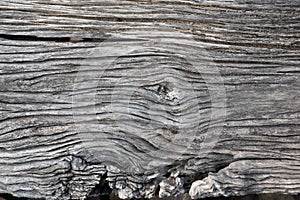 Close up wood texture for nature Background