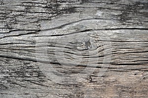 Close up wood texture for nature Background