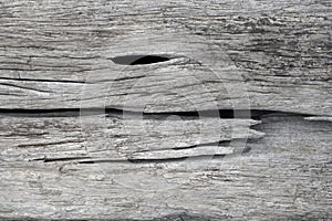 Close up wood texture for nature Background