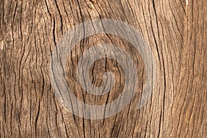 Close up wood texture for nature Background