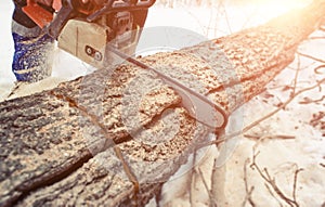 Close-up of woodcutter sawing chainsaw in motion, sawdust fly to sides