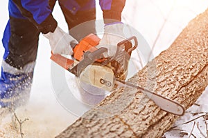 Close-up of woodcutter sawing chainsaw in motion, sawdust fly to sides