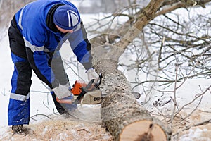 Close-up of woodcutter sawing chainsaw in motion, sawdust fly to sides