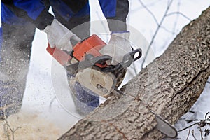 Close-up of woodcutter sawing chainsaw in motion, sawdust fly to sides