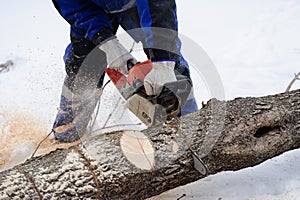 Close-up of woodcutter sawing chainsaw in motion, sawdust fly to sides