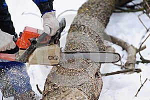 Close-up of woodcutter sawing chainsaw in motion, sawdust fly to sides