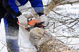 Close-up of woodcutter sawing chainsaw in motion, sawdust fly to sides