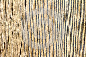 Close up of wooden background with natural detailed surface texture.