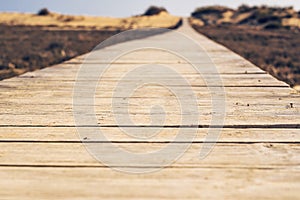 Close-up of wooden beach boardwalk path