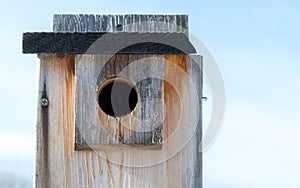 close up of a wooden bird box