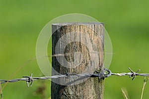 close up of wooden fence post with barbed wire