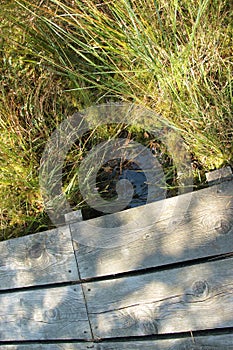 Close-up of a wooden footpath through the Ibm Moorland in upper Austria, in early autumn.