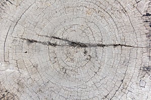 Close up of wooden grain