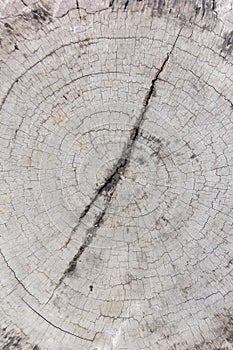 Close up of wooden grain