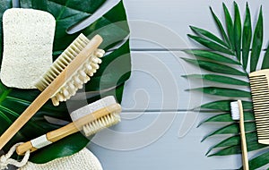 Close up Wooden massage brushes for skin and body care and monstera tropic leaf on gray background. Beauty, spa and bath