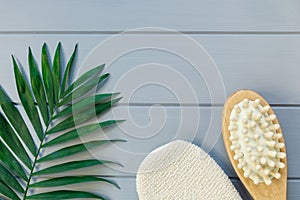 Close up Wooden massage brushes for skin and body care and monstera tropic leaf on gray background. Beauty, spa and bath concept.