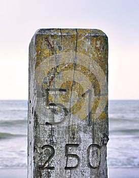 Close-up of a wooden pillar or pile at the beach