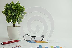 Working table with report paper, green plant and office stationery.