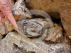 Close up wrinkly hand pointing to striped and curvy rock pattern