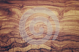 Close up olive wood texture background