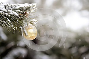 Close up of yellow christmas ball on a fir tree branch