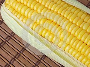 close-up yellow corn