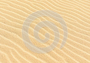 Close up of yellow desert sand.