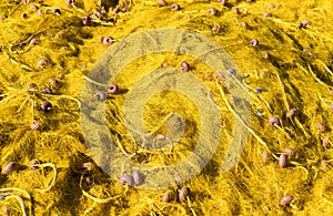 Close up of a yellow fishnet