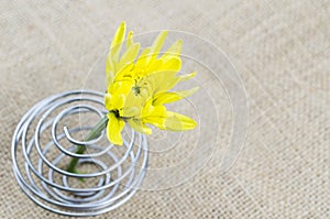 Close up the yellow flower on the table