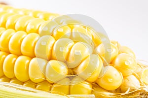 Close up of yellow fresh corn with water droped isolated on whi