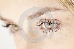 Close up of yellow green eyes of attractive woman