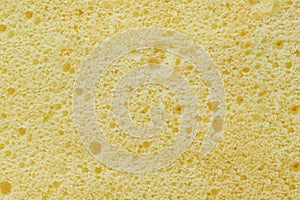 Close up yellow homemade airy sponge cake flavored with vanilla texture for background.