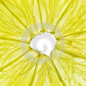 Close-up of a yellow lemon slice isolated on a white background