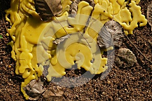 Close-up of yellow melt wax, yellow wax abstract concept