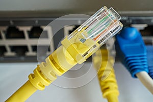 Close up yellow network cable