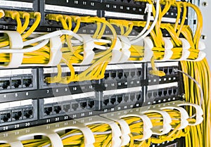 Close up of yellow network cables connected to switch