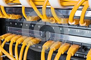 Close up of yellow network cables connected to switch