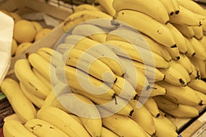 close-up of yellow ripe bananas lying on the store counter in the fruit section. Tropical fruits