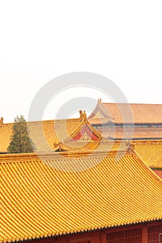 Close up of yellow roof tile in forbidden city,Beijing China