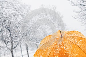 Close up of yellow umbrella in snow