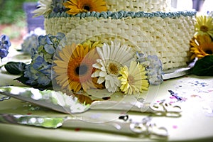 Close up of yellow wedding cake and knife